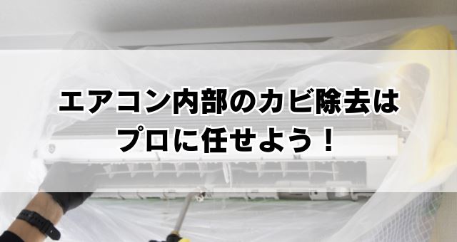 エアコン内部のカビ除去はプロに任せよう